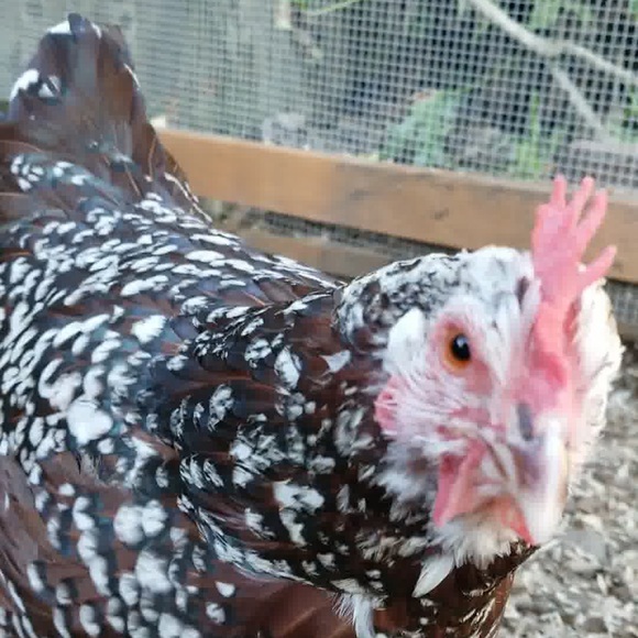 Meet your Posher, Kristi - Picture 8 of 17